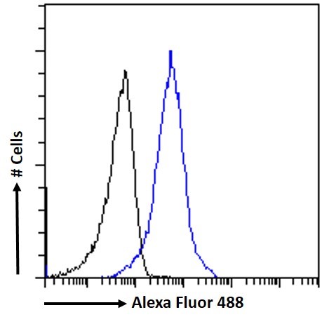 FC - Goat anti-ACE2 (N Terminal) Antibody AF4549a